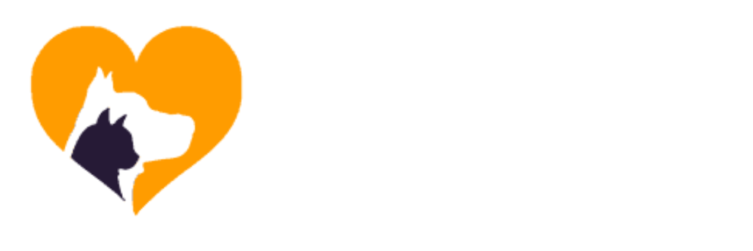 star pet sitting